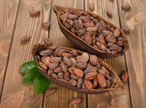 Do Cocoa Beans Grow In The USA?